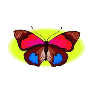 Butterfly listed in butterflies decals.