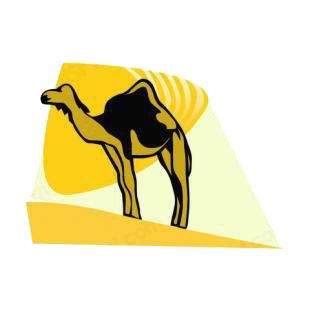 Camel listed in camel decals.