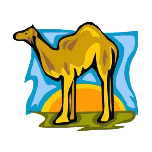 Camel listed in camel decals.