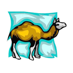 Camel listed in camel decals.