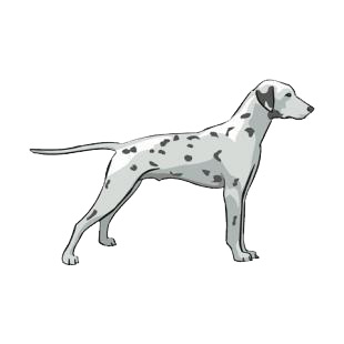 Dalmatian listed in dogs decals.