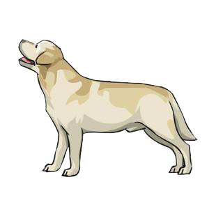 Golden retriever listed in dogs decals.