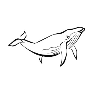 Whale listed in more animals decals.