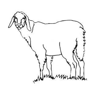 Sheep listed in more animals decals.