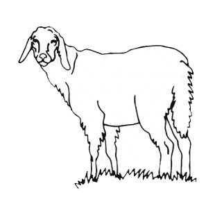 Sheep listed in more animals decals.