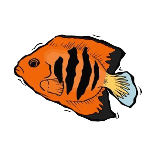 Angelfish listed in fish decals.