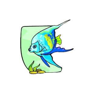Underwater angelfish listed in fish decals.