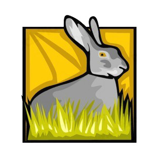 Grey hare standing in grass listed in rabbits decals.