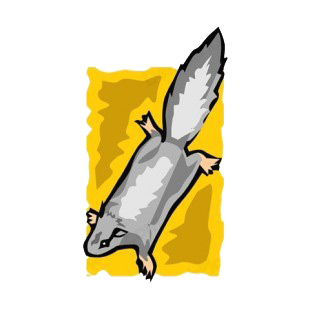 Grey squirrel listed in rodents decals.