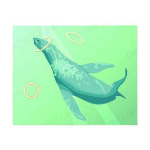Seal underwater playing with hoops listed in fish decals.