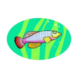 Trout underwater listed in fish decals.