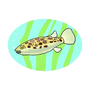 Fish with brown spots underwater listed in fish decals.