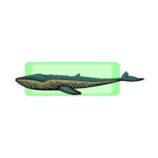 Cachalot listed in fish decals.