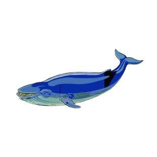 Blue cachalot listed in fish decals.