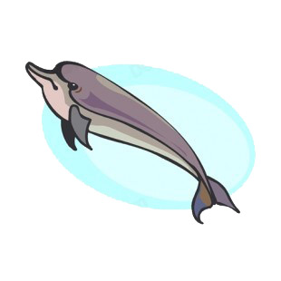 Dolphin underwater listed in fish decals.