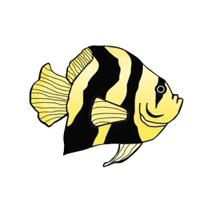 Yellow and black angelfish listed in fish decals.