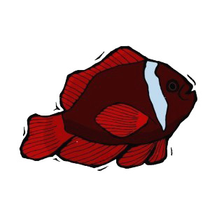 Red clownfish listed in fish decals.