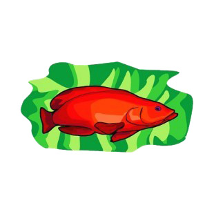 Red fish listed in fish decals.