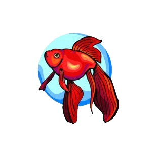 Red goldfish underwater listed in fish decals.