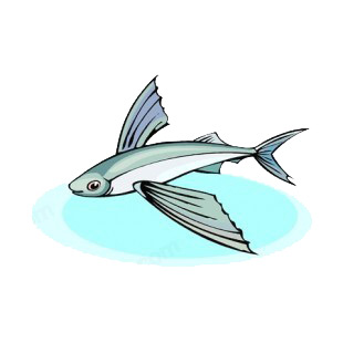 Flying fish listed in fish decals.