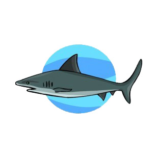 Shark underwater  listed in fish decals.