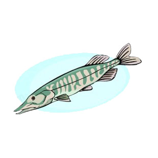 Brown and green jackfish underwater listed in fish decals.