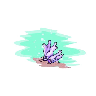 Purple coral listed in fish decals.