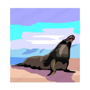 Black walrus on the beach listed in fish decals.