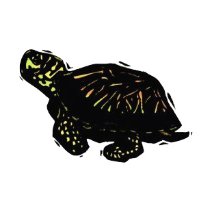 Black turtle with yellow spots listed in fish decals.