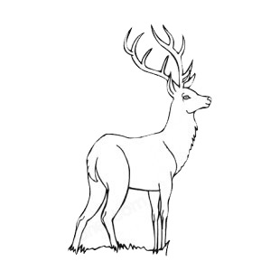 Deer with big tusks listed in more animals decals.
