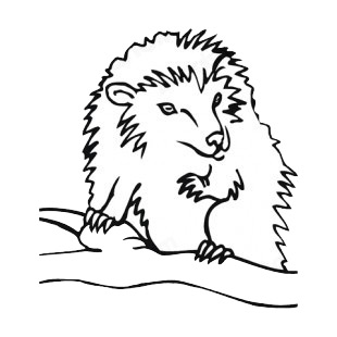 Porcupine on a branch listed in more animals decals.