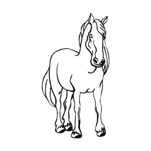 Horse listed in more animals decals.