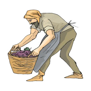 Farmer with grape basket listed in agriculture decals.