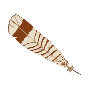 Brown and white feather listed in symbols and history decals.