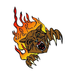 Angry brown lynx flames drawing listed in more animals decals.
