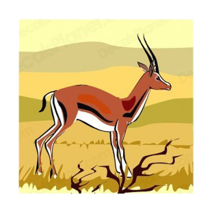 Gazelle in scrubland listed in more animals decals.