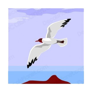 Seagul flying near ocean listed in more animals decals.