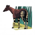 Baby zebra, decals stickers