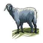 Sheep with long ears, decals stickers