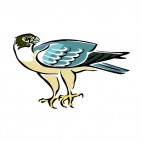 Blue and beige peregrine, decals stickers