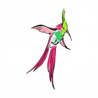Green and pink hummingbird, decals stickers