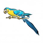 Blue and yellow perrot on a branch , decals stickers