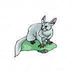 Grey chinchilla, decals stickers