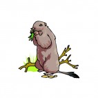 Brown marmot eating, decals stickers