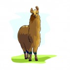 Brown llama, decals stickers