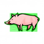 Pig licking lips, decals stickers