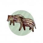 Brown stripes piggys, decals stickers