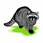 Raccoon with mouth open, decals stickers