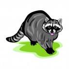 Raccoon with mouth open, decals stickers