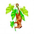 Coati holding on to a leaf twig , decals stickers